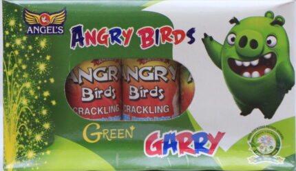 GARRY